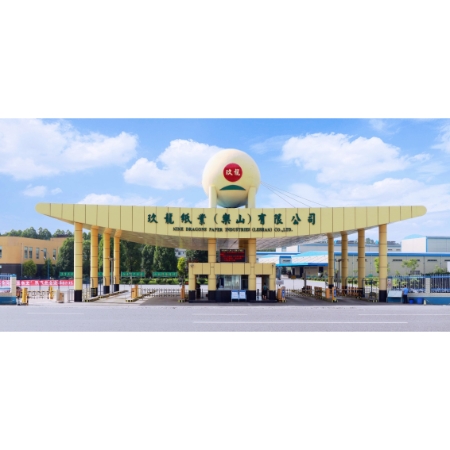 玖龙纸业